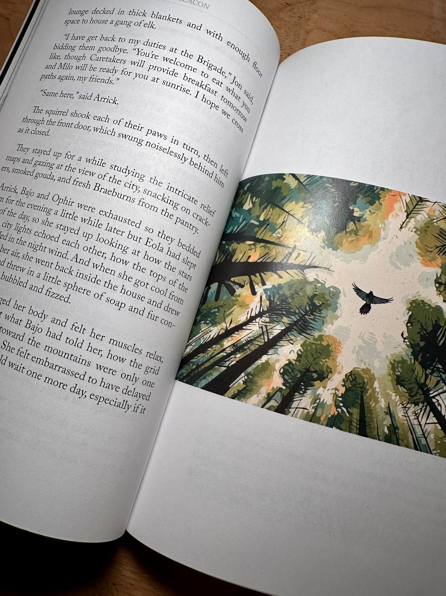 The paperback edition of the blue beacon opened to a page of the story and an illustration of a hummingbird flying down through a canopy of trees 